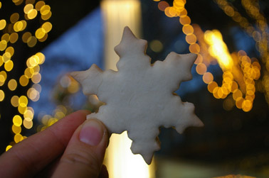 クッキーを持って (2010-12-18)