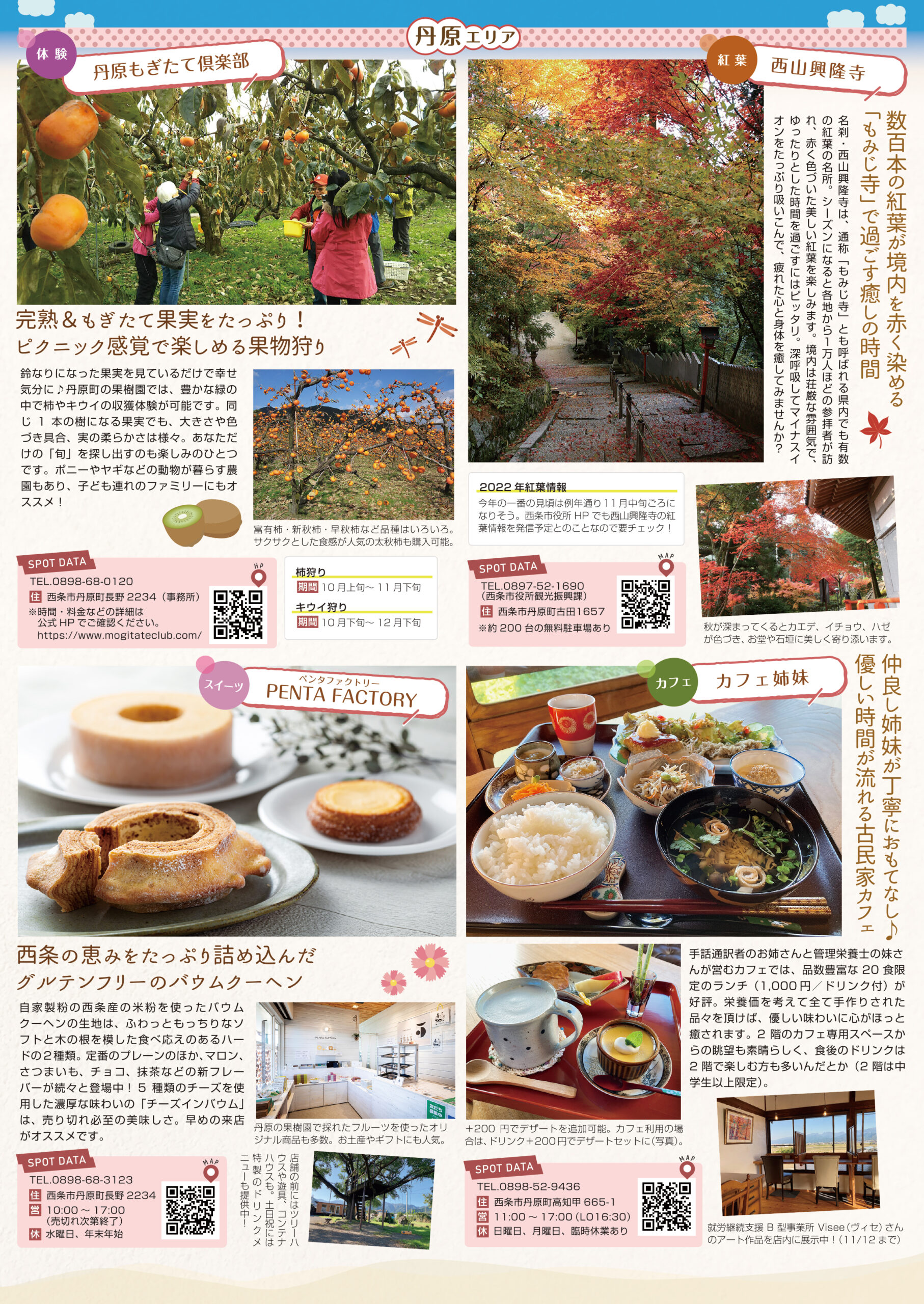 ホームページあり イズ様制作 2022年11月号 | 飯田市 ホームページ制作  