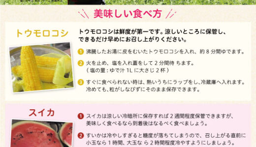 チラシ制作実績 岡本ファーム様